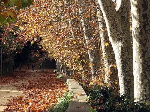 Hostal Sant Bernat Olot Exterior foto